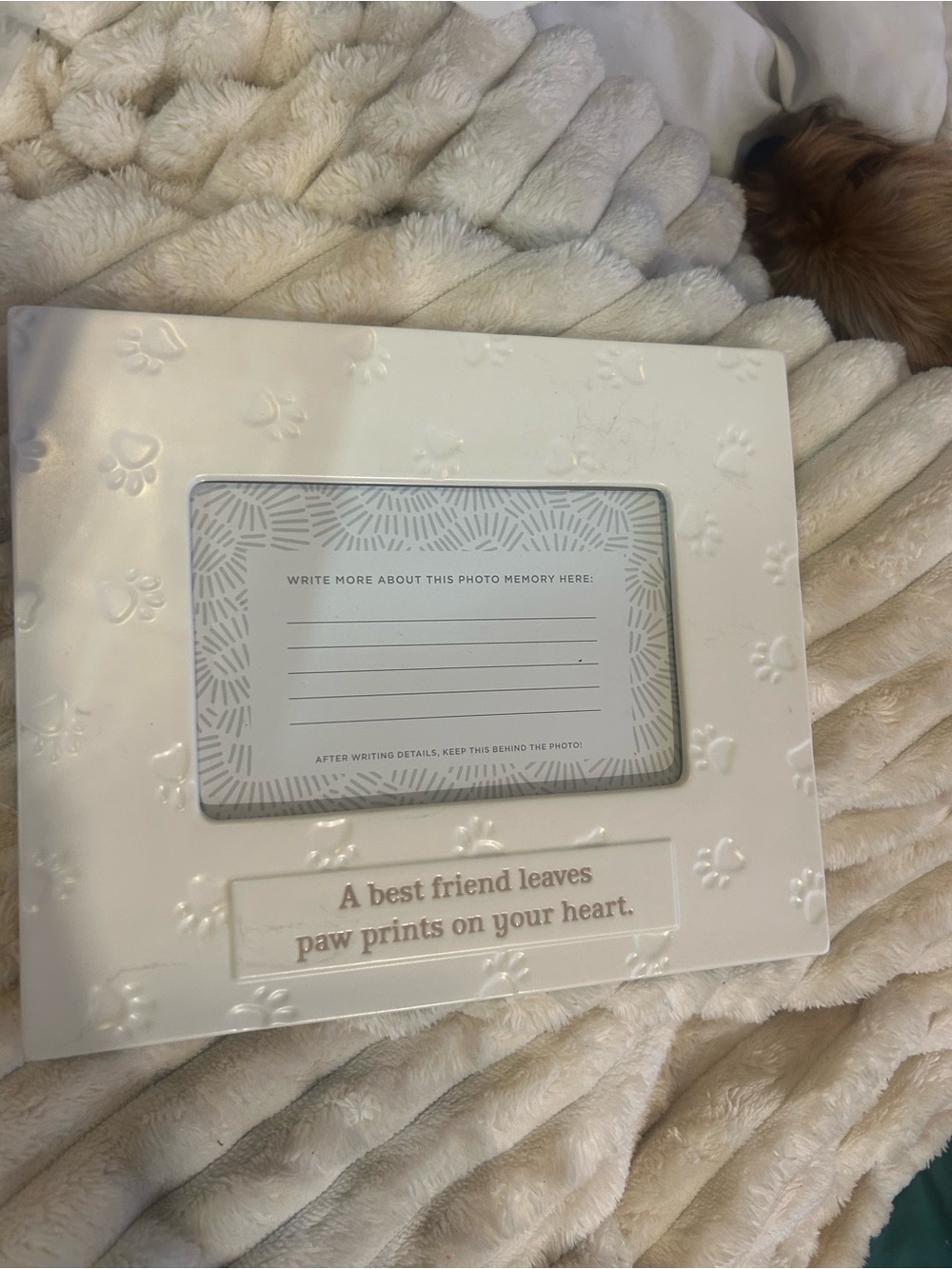 Hallmark White Paw Print Pet Photo Frame
